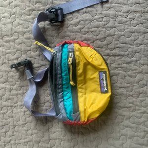 Patagonia Fanny Pack